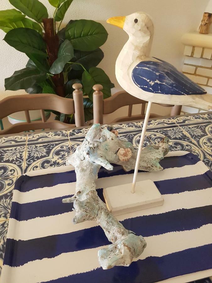 Sunny Beach Apartment Holidays 孔迪镇 外观 照片
